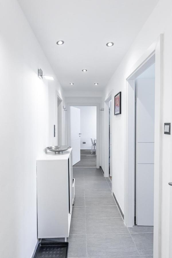 Bright + Near Belvedere By Jr Wenen